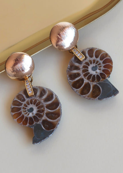 Ammonite
