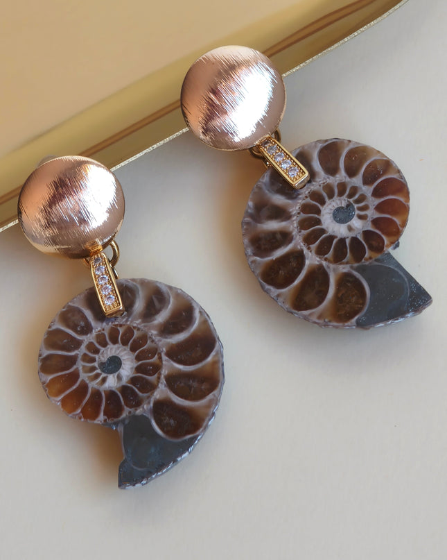 Ammonite