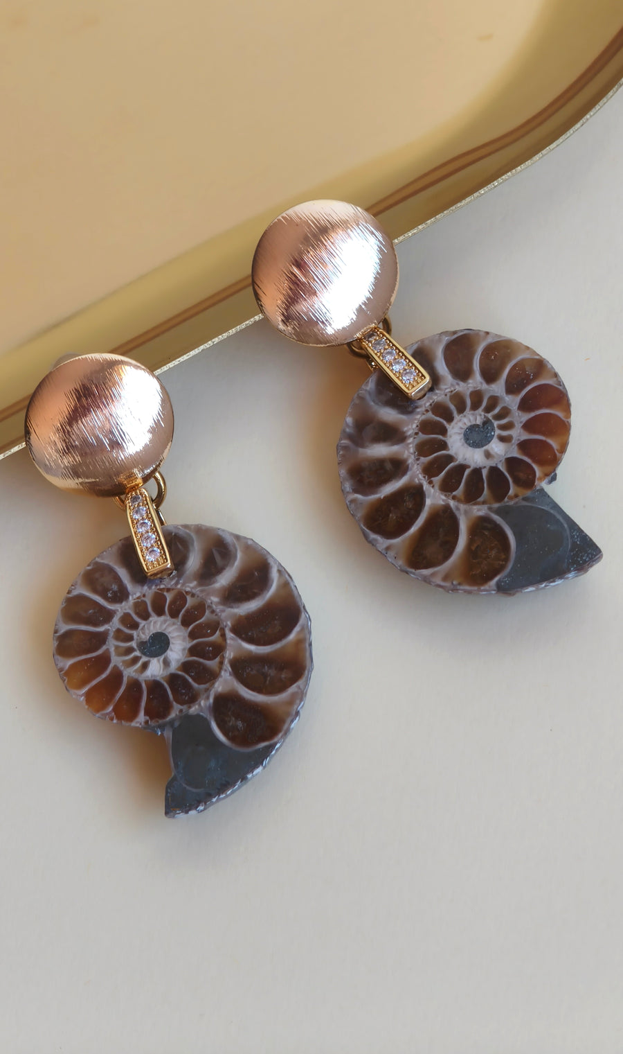 Ammonite
